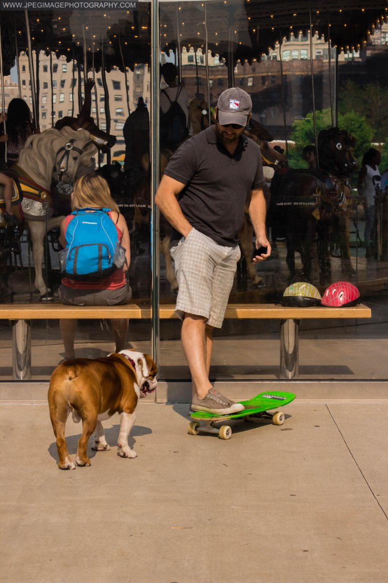 Bulldog with his owner playing with a skateboard near Jane's Carousel in Brooklyn Bridge Park located in DUMBO Brooklyn New York.